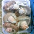 てんこもり 農産物直売所