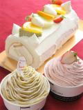 手作りケーキの店 Sucre_居酒屋特集