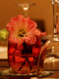 BISTRO DE CORAZON 記念日・ハレの日にの画像です BISTRO DE CORAZON記念日・ハレの日に_写真