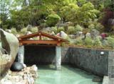 大白川温泉 しらみずの湯_温泉特集