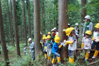ひだまりほーむ 株式会社 鷲見製材_写真