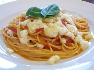 LA VITA e bellaの写真