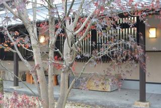 仁太郎  加子母本店