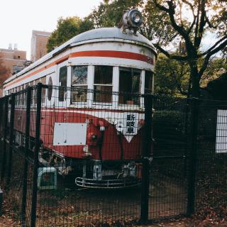 金公園