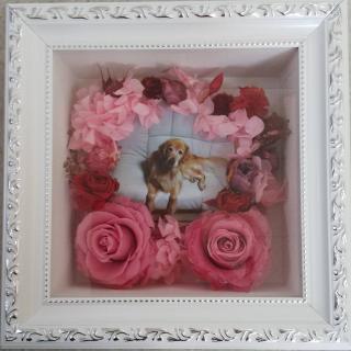 思い出の生花を残そう ショップ サロン花 花 はなはな レッツぎふくらし