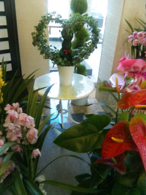 Spa Resort 湯の華アイランドへのbiwabiwaさんのレビュー写真