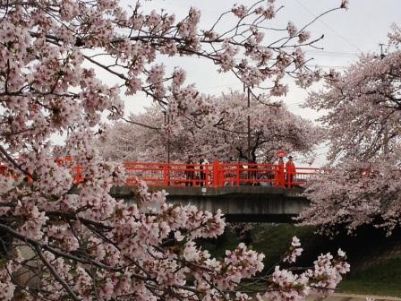 新境川のレポート写真1（offshore）