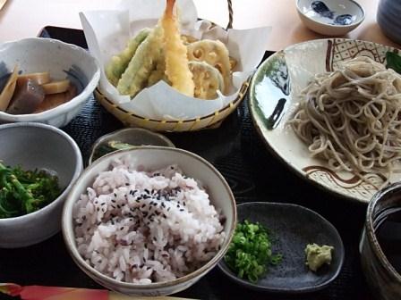 おいしい十割蕎麦 そばの匠のレポート写真1（ジェミニ）