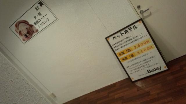 Pet For Life Buddy2へのぴかんち☆☆さんのレビュー写真