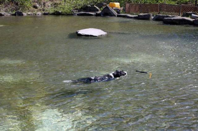 N.E.W奥長良キャンプ場&WANKOへのそーさんのレビュー写真