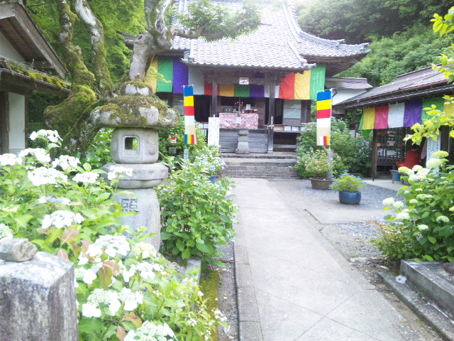 三光寺のレポート写真1（レッツなシニア）
