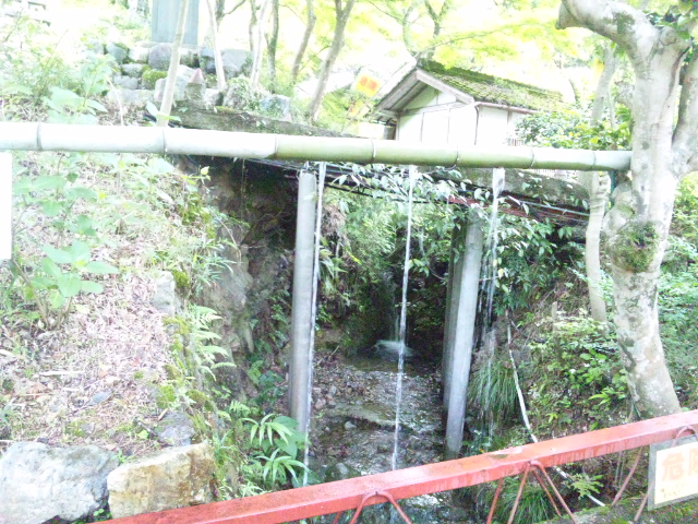 三光寺のレポート写真2（レッツなシニア）