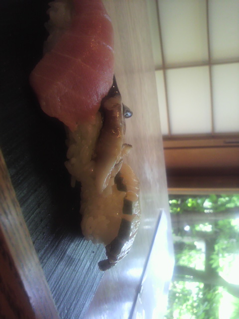 森海へのポニョさんのレビュー写真