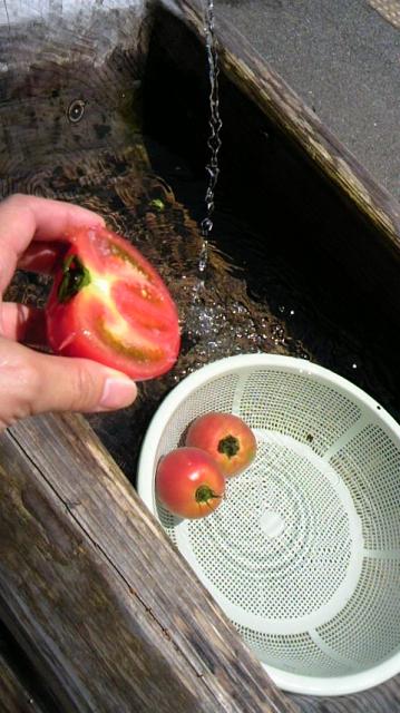 道の駅 飛騨古川いぶしへのスイーツ倶楽部さんのレビュー写真