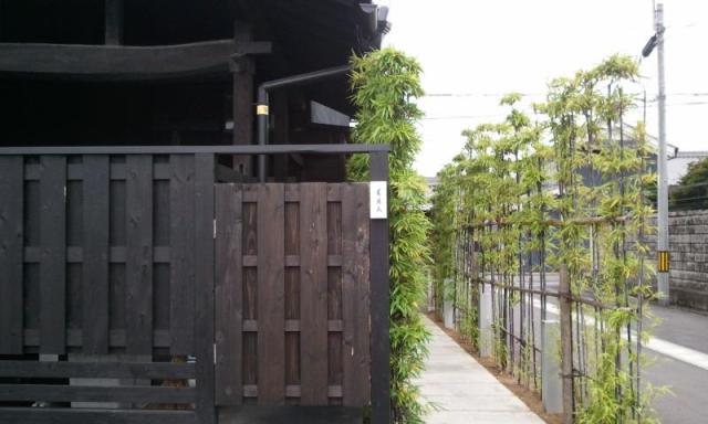 古風人 領下へののんこさんのレビュー写真