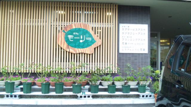 カフェ モーリー赤坂店のレポート写真2（レッツなシニア）