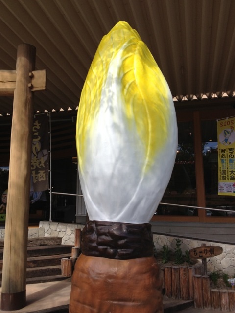 ちこり村のレポート写真1（melimero）