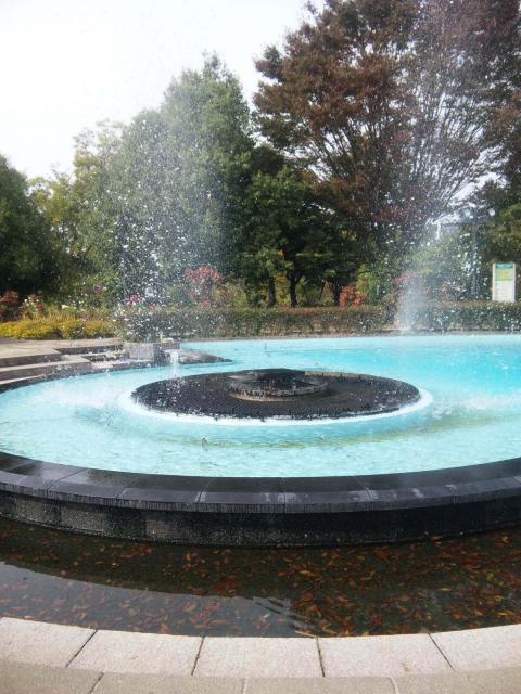 河川環境楽園 オアシスパークへのがみこさんのレビュー写真