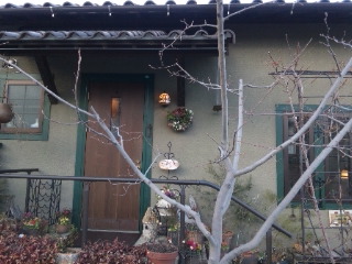 樹の萌へのめるさんのレビュー写真