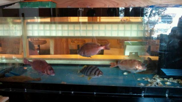 伊勢屋寿司へのめぐっぺ☆さんのレビュー写真