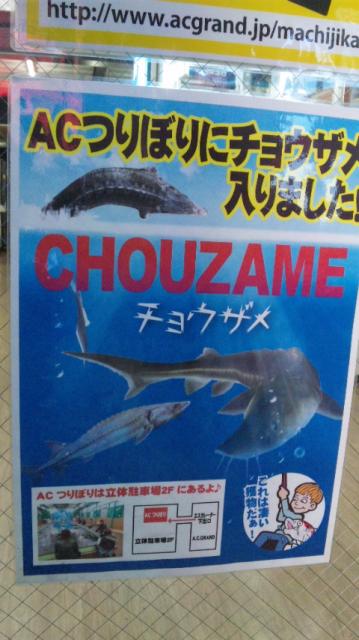 A.C.グランドへのレッツなシニアさんのレビュー写真