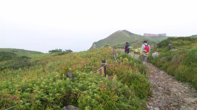 伊吹山ドライブウェイへのレッツなシニアさんのレビュー写真