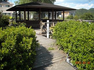 ハリヨ公園へのレッツなシニアさんのレビュー写真