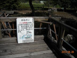 ハリヨ公園へのレッツなシニアさんのレビュー写真