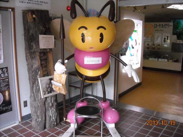 ミツバチの家へのレッツなシニアさんのレビュー写真