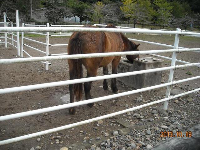 岐阜市畜産センター公園へのレッツなシニアさんのレビュー写真