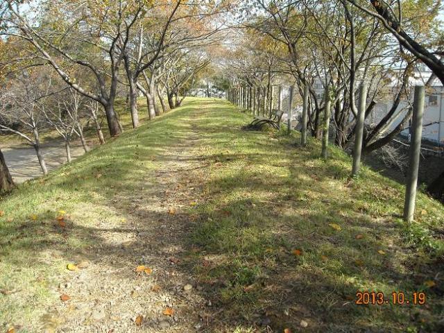 黒野城跡へのレッツなシニアさんのレビュー写真
