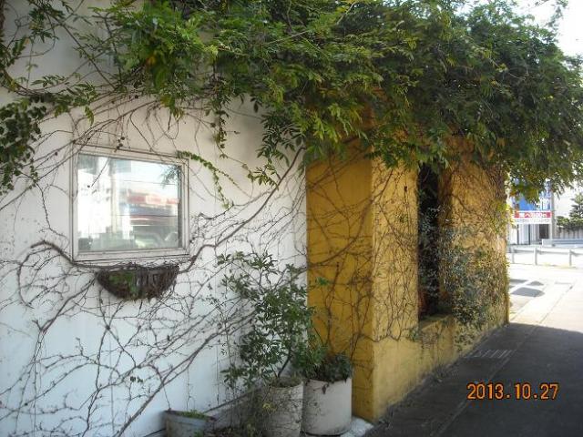 cafe Kante Manfilaへのレッツなシニアさんのレビュー写真