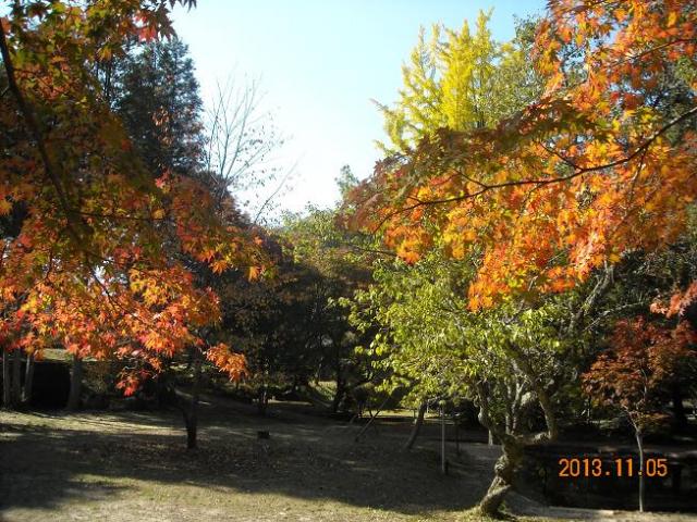 曽木公園へのレッツなシニアさんのレビュー写真