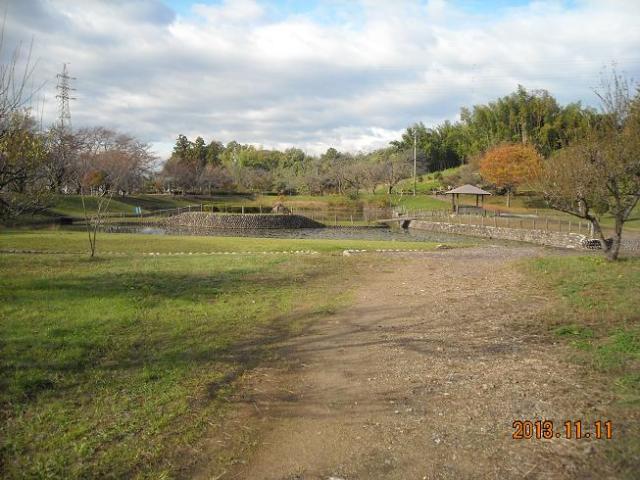 蘇原自然公園へのレッツなシニアさんのレビュー写真