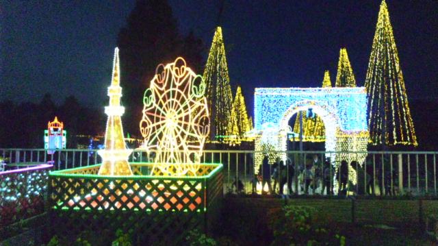 国営木曽三川公園センターのレポート写真3（レッツなシニア）