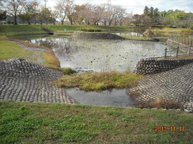 蘇原自然公園へのレッツなシニアさんのレビュー写真