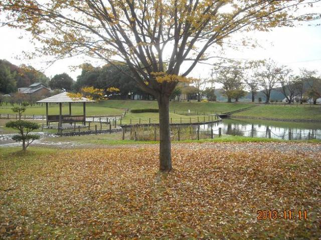 蘇原自然公園へのレッツなシニアさんのレビュー写真
