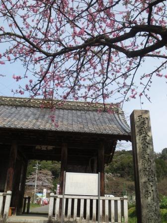 願成寺へのジェミニさんのレビュー写真