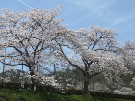 岐阜市畜産センター公園へのジェミニさんのレビュー写真