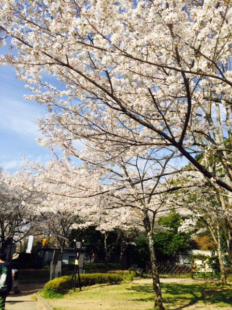岐阜公園へのまなみさんのレビュー写真