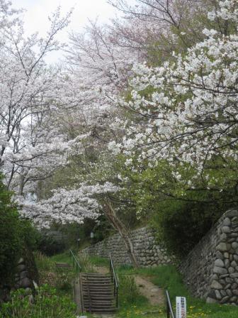 鷺山公園へのジェミニさんのレビュー写真