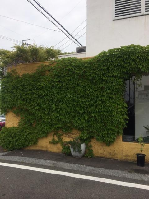 cafe Kante Manfilaのレポート写真1（melimero）