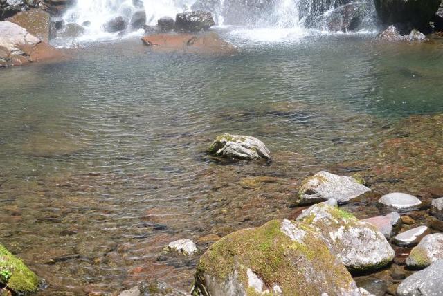 奥長良川県立自然公園 夫婦滝へのレッツなシニアさんのレビュー写真