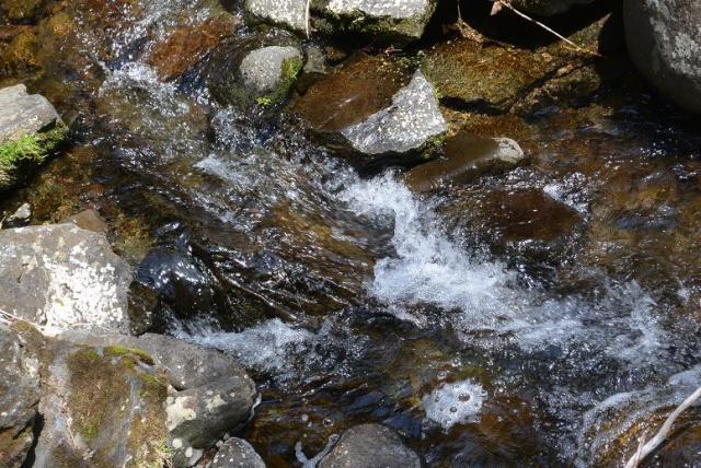 奥長良川県立自然公園 夫婦滝へのレッツなシニアさんのレビュー写真