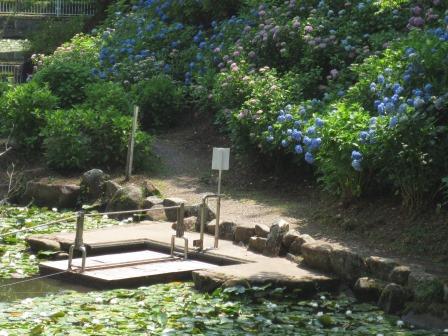 みのかも健康の森へのジェミニさんのレビュー写真