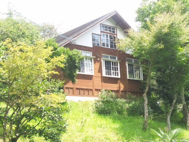 Cultivateurへのめるさんのレビュー写真