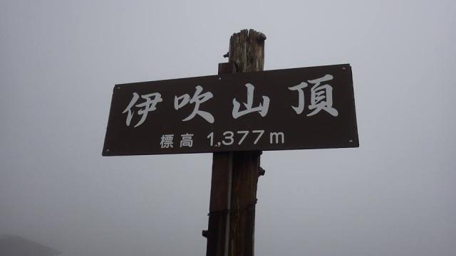 伊吹山へのにしこさんのレビュー写真