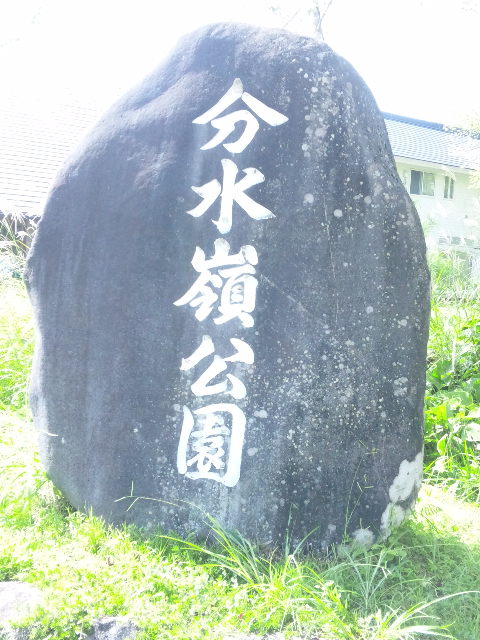 ひるがの分水嶺公園のレポート写真1（める）
