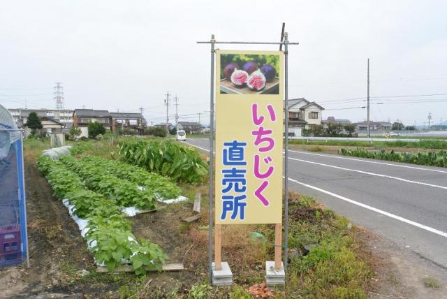 河渡宿いちじく直売所へのレッツなシニアさんのレビュー写真