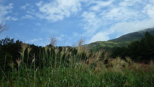 伊吹山へのにしこさんのレビュー写真